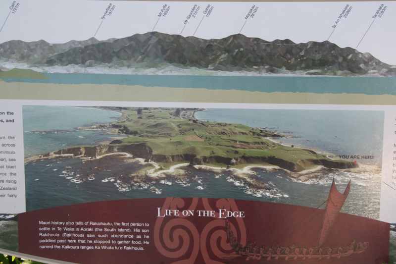 Nieuw-Zeeland 2011 - 1179